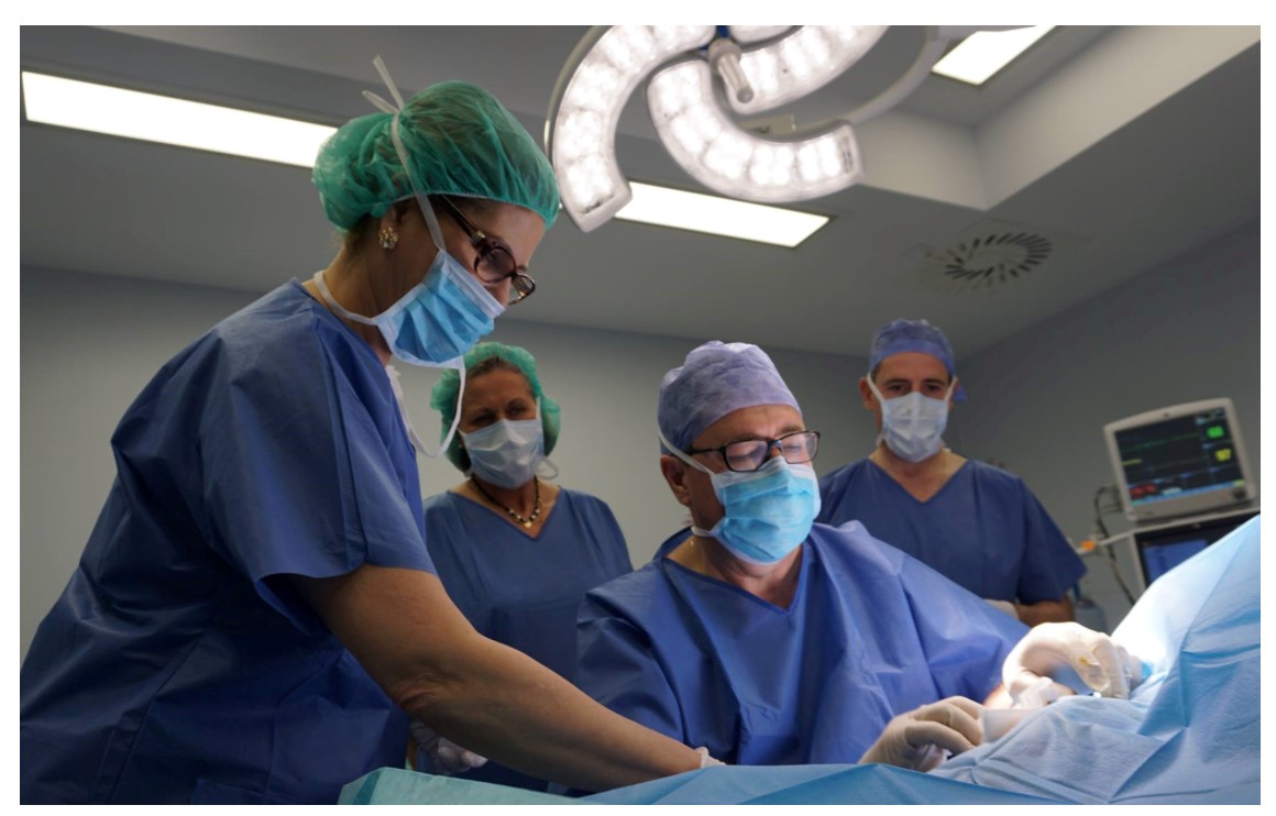 Stem cell transplants in Costa del Sol